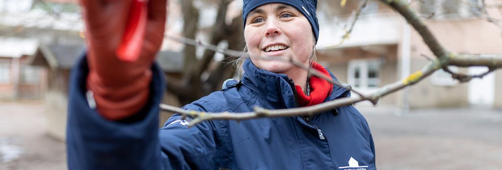 Visar person som ansar träd