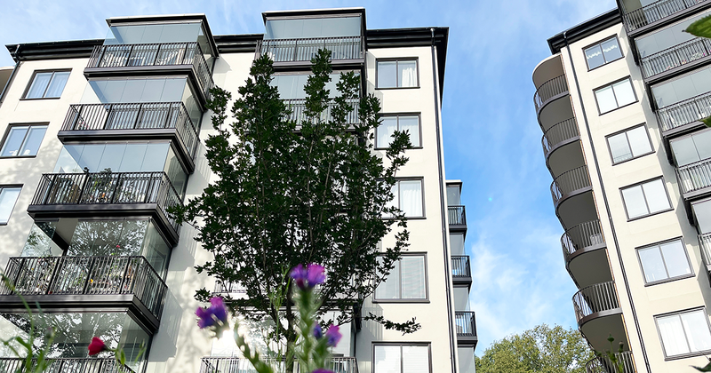 Två lägenhetshus bredvid varandra med vit fasad, ett träd framför.