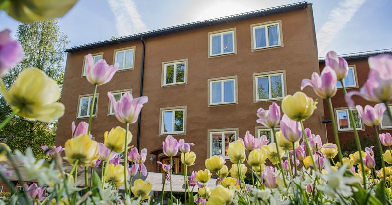 Trevåningshus med tulpaner framför.