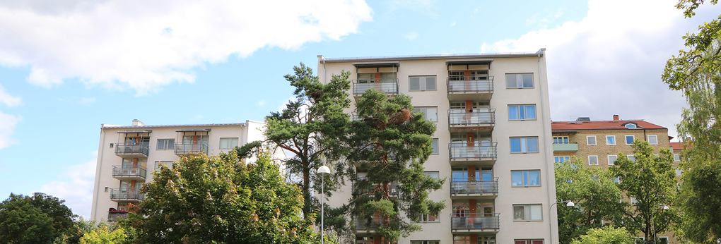 Vita lägenhetshus med träd framför.