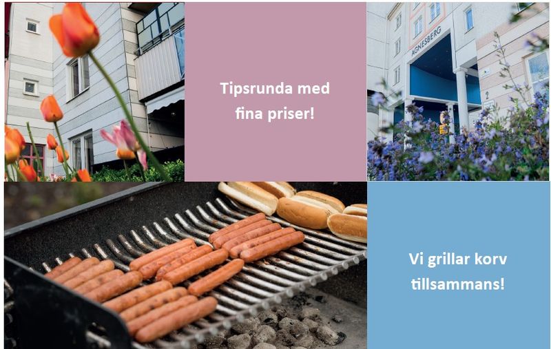 Collage av bilder från korvgrillning och området i Agnesberg